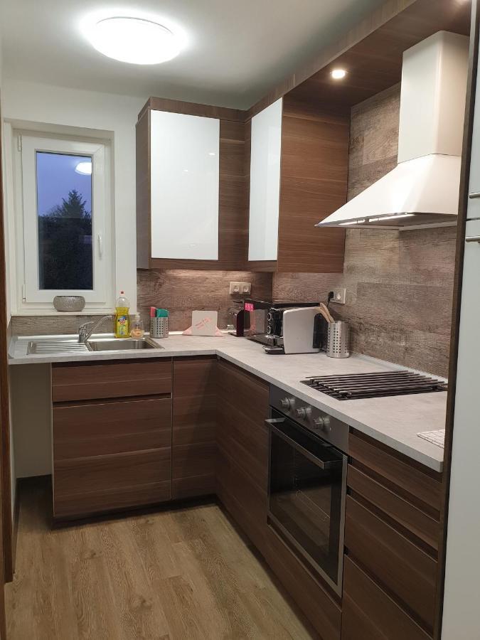 Apartman U Labe Nymburk Εξωτερικό φωτογραφία